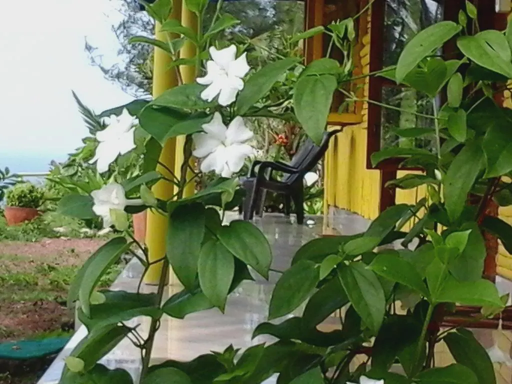 Bed & Breakfast Varkala Bamboo Village Resort